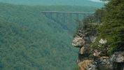 PICTURES/Endless Wall Trail - New River Gorge/t_Bridge From Cliff4.JPG